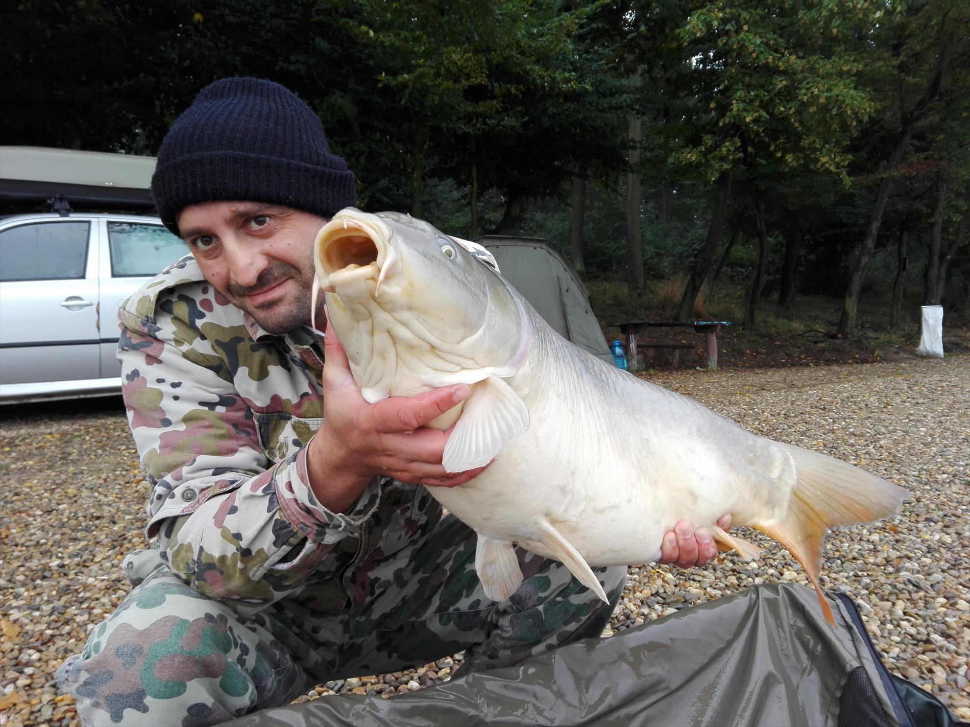 1-5 Octombrie Cetariu - img20161004163445.jpg